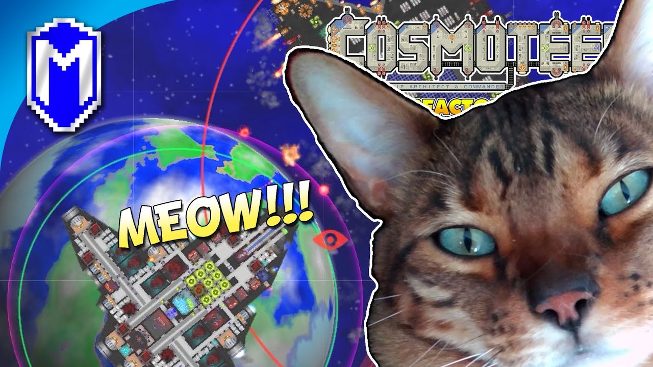 trying to record with a cat leo meowing while trying to record a